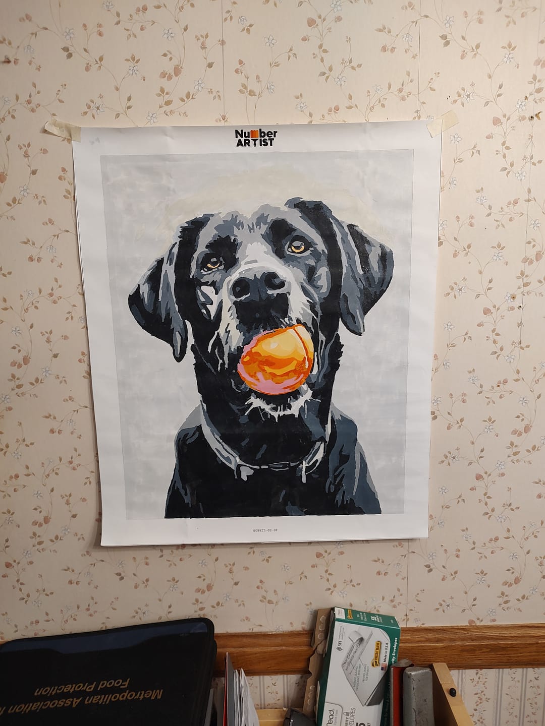 Customer photo review of Play Time