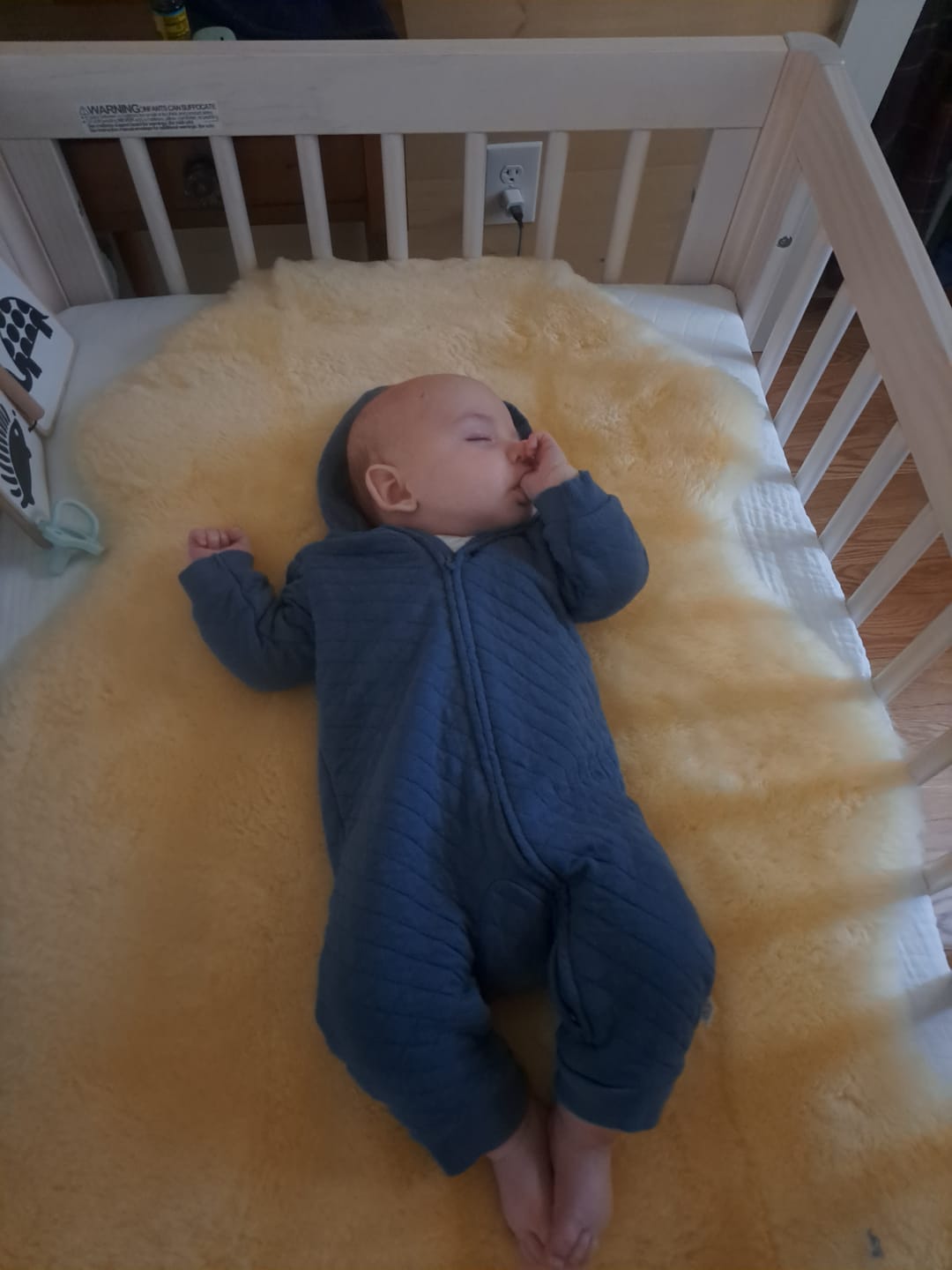 Customer photo review of Sheepskin Rug for Babies, 100% Natural, Shorn Lambskin Wool, 2 x 3 Feet, Flax