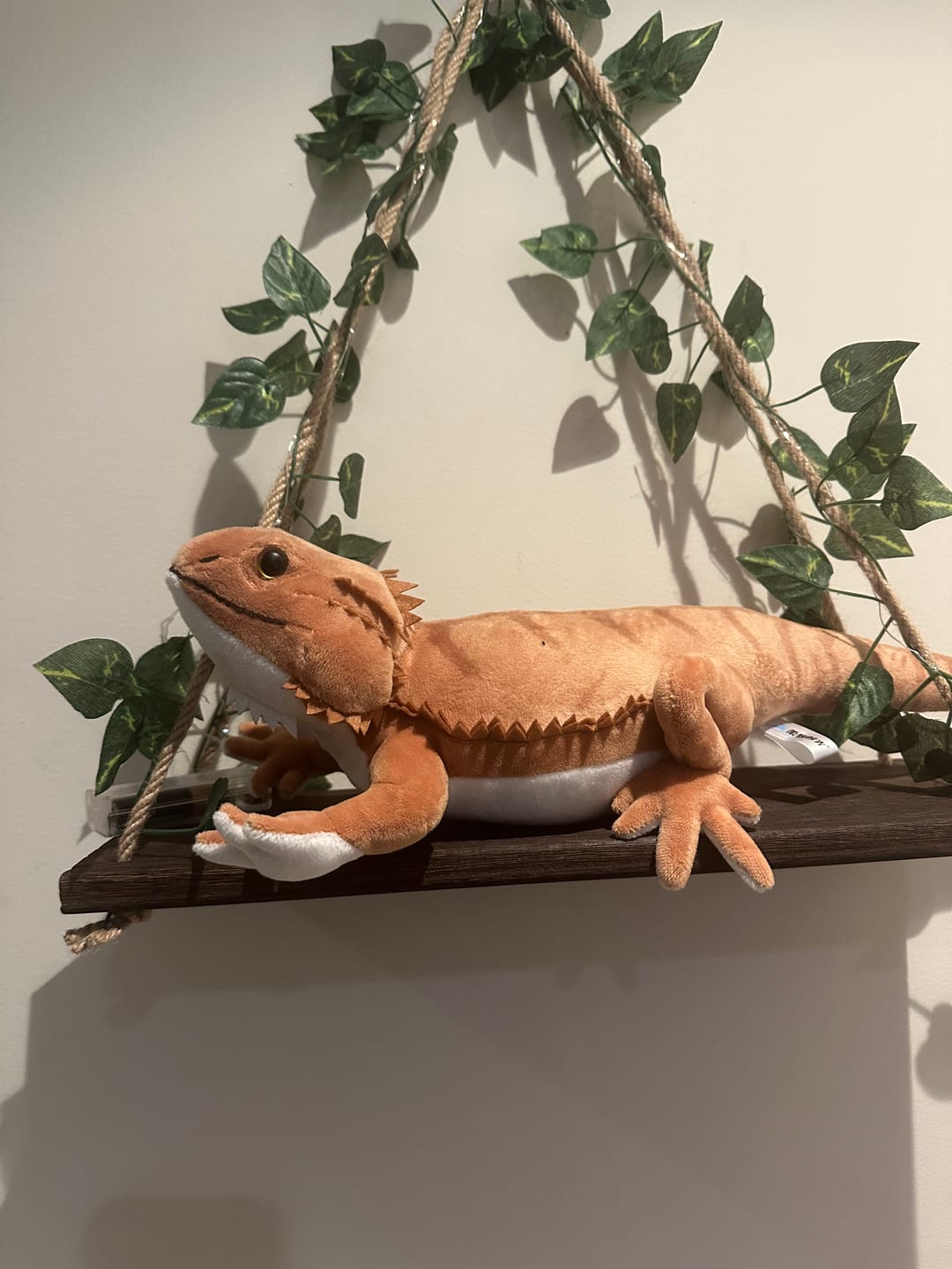 Customer photo review of Bearded Dragon Lizard Soft Stuffed Plush Toy