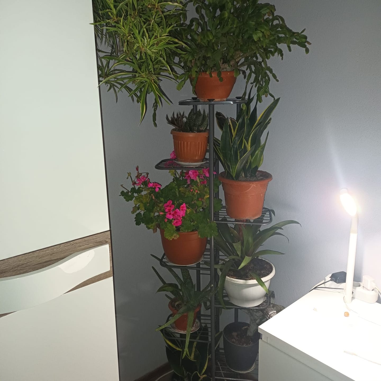 Customer photo review of Etajera BAMIR TIP 4, gri, metal, 44x22x141 cm