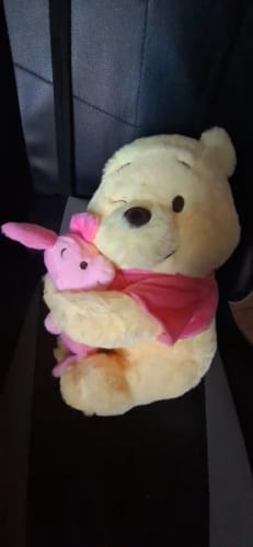 Customer photo review of Disney Winnie The Pooh Hugging Piglet Plush Toy