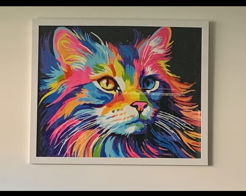 Customer photo review of Colorful Cat