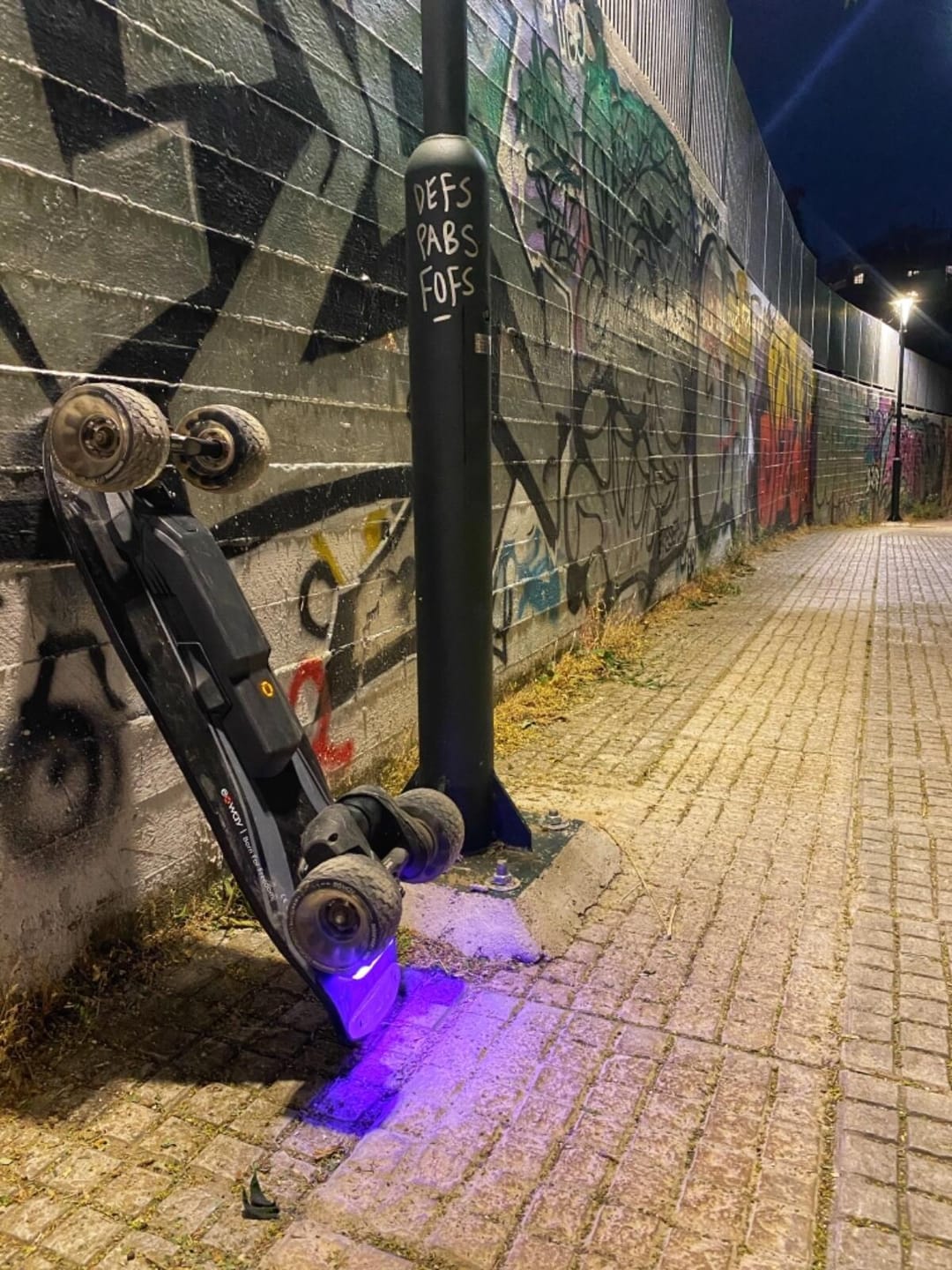 Customer photo review of Exway Wave