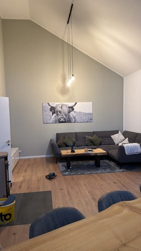 Customer photo review of Leinwandbild | Rind im Hochland | Panorama