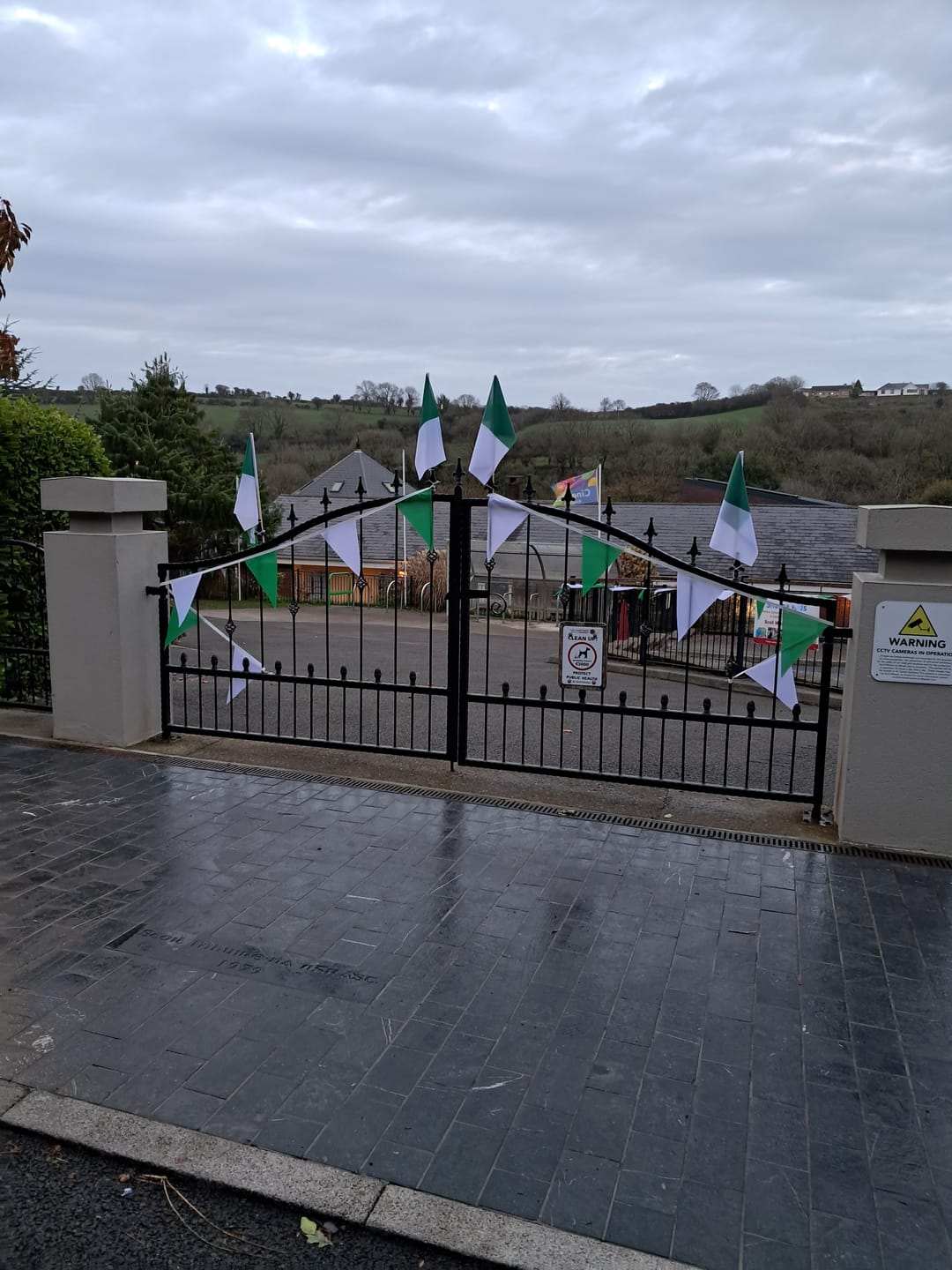 Customer photo review of Green(National) & White Colour Bunting