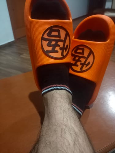 Customer photo review of Dragon Ball Rubby Kanji Go