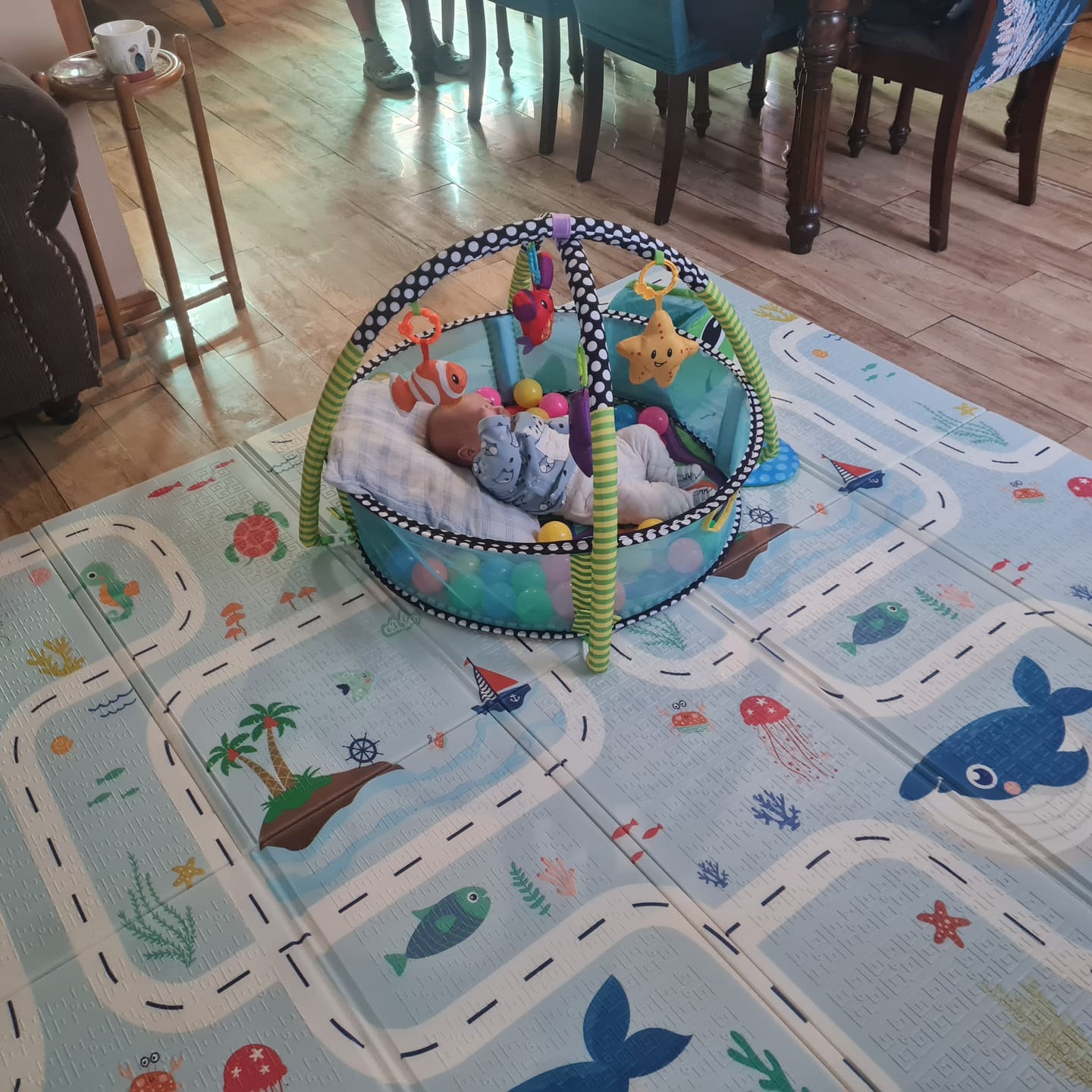 Customer photo review of Gimnasio interactivo 3 en 1 Tortuga