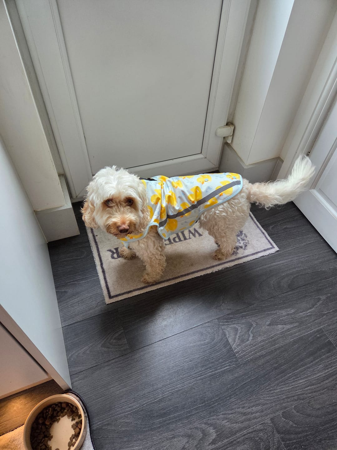 Customer photo review of Rain Jacket - You Quack Me Up!