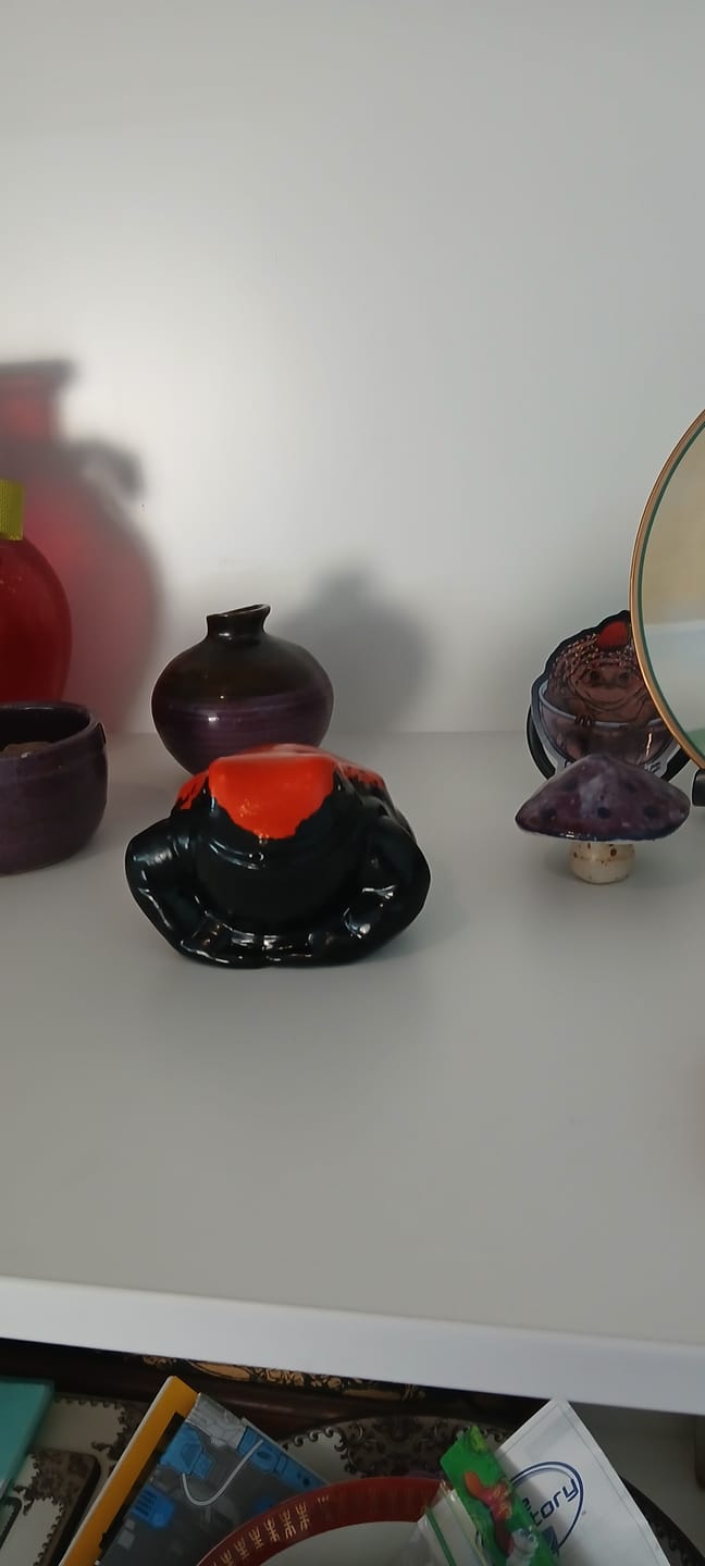 Customer photo review of InkkSpot the Splash Back Poison Frog