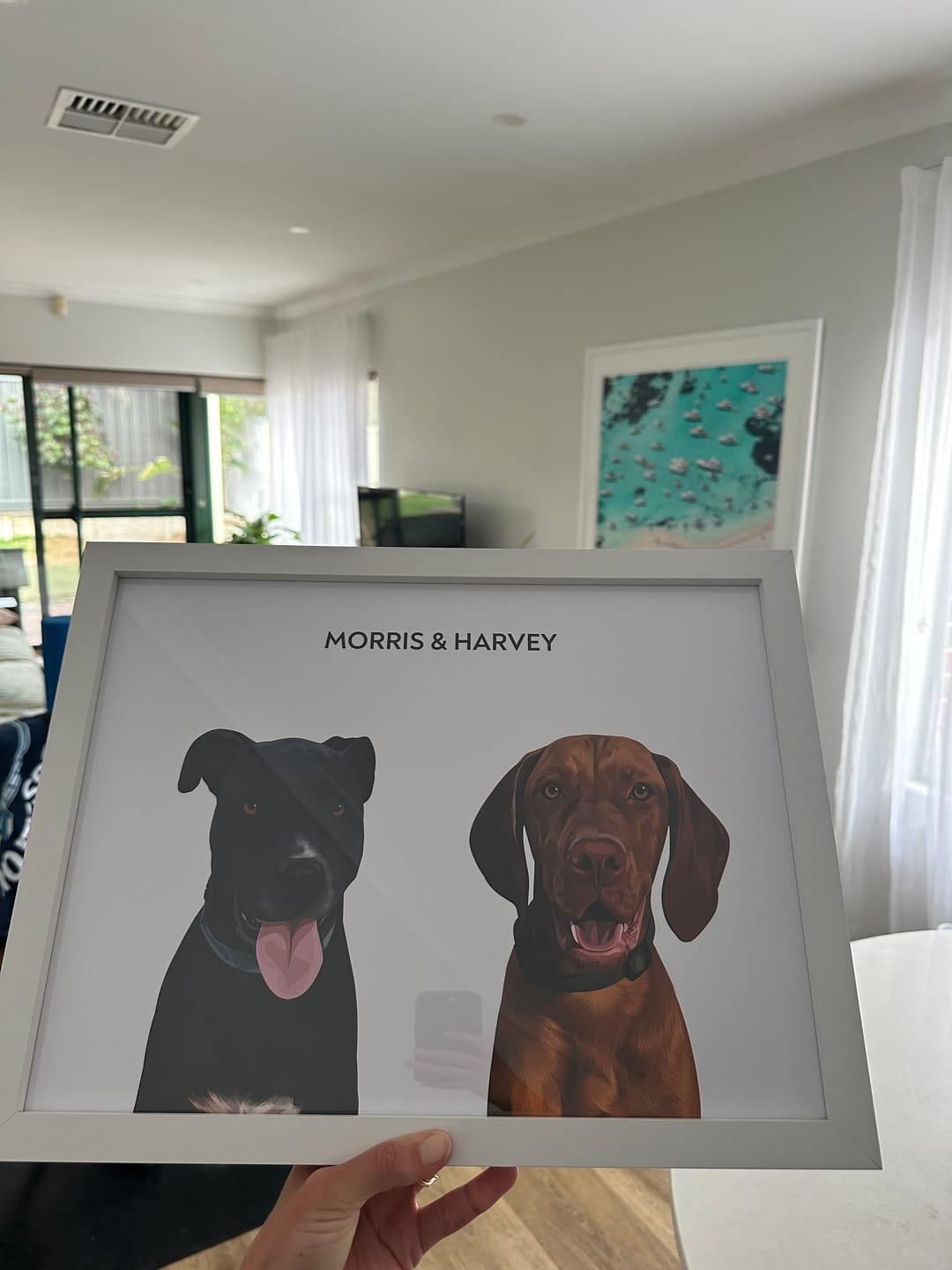 Customer photo review of 2 Pets