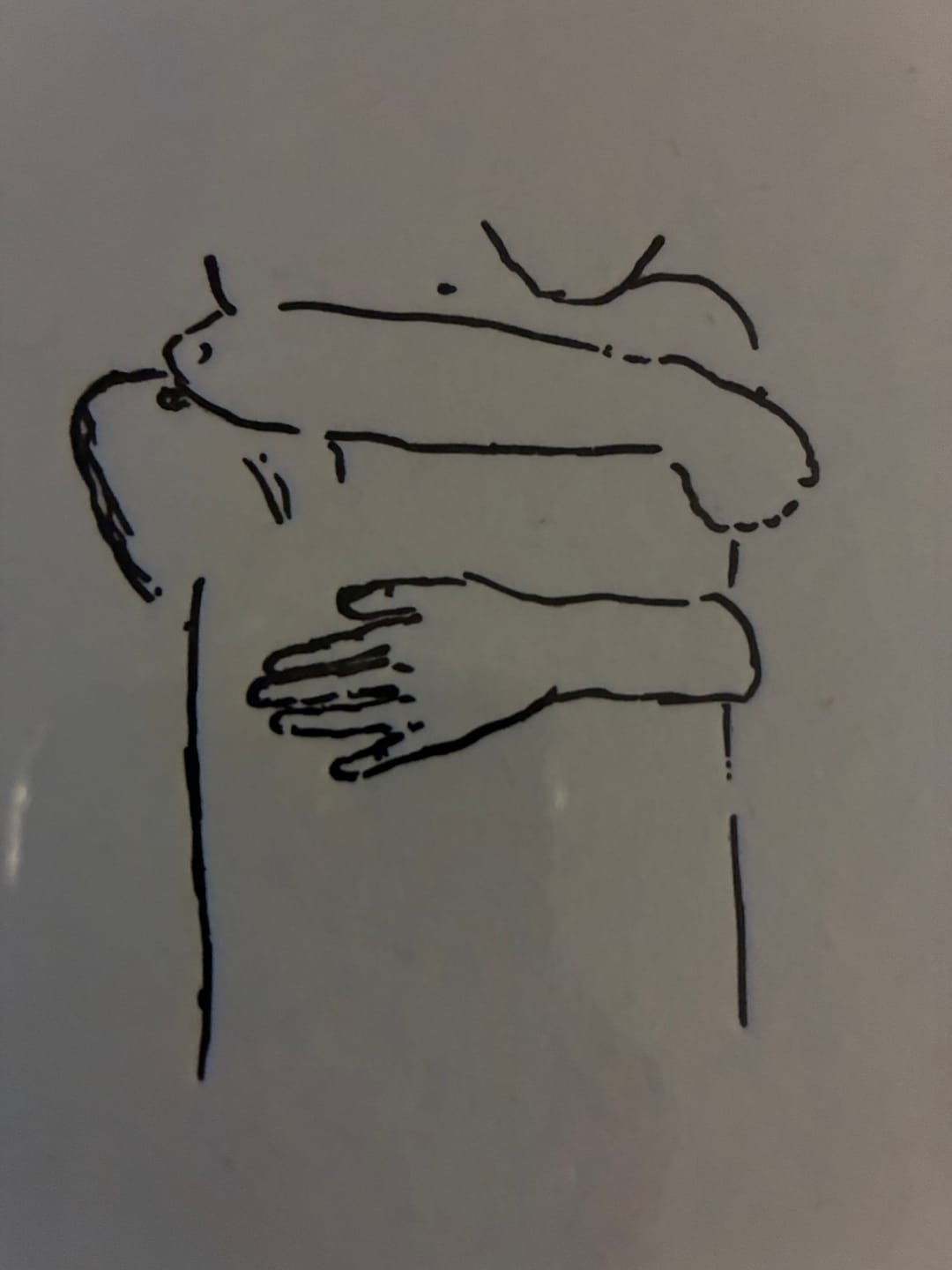 Customer photo review of hug sketch