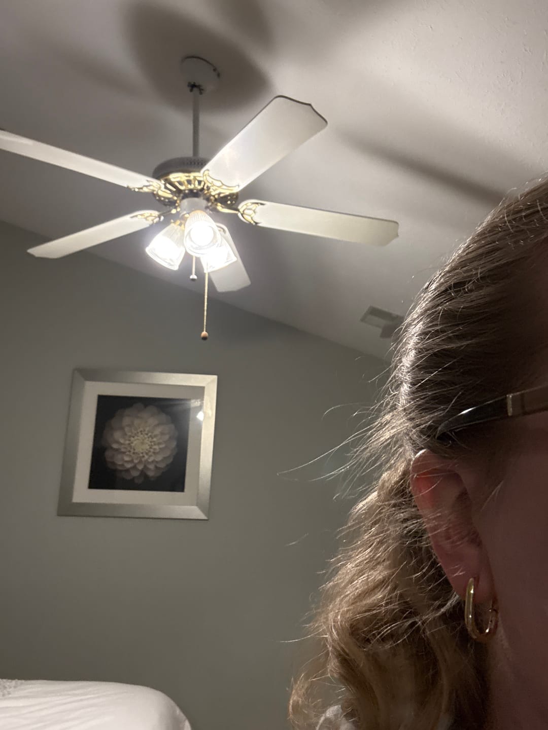 Customer photo review of Oval hoops