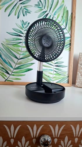 Customer photo review of Lumeo Smart Fan