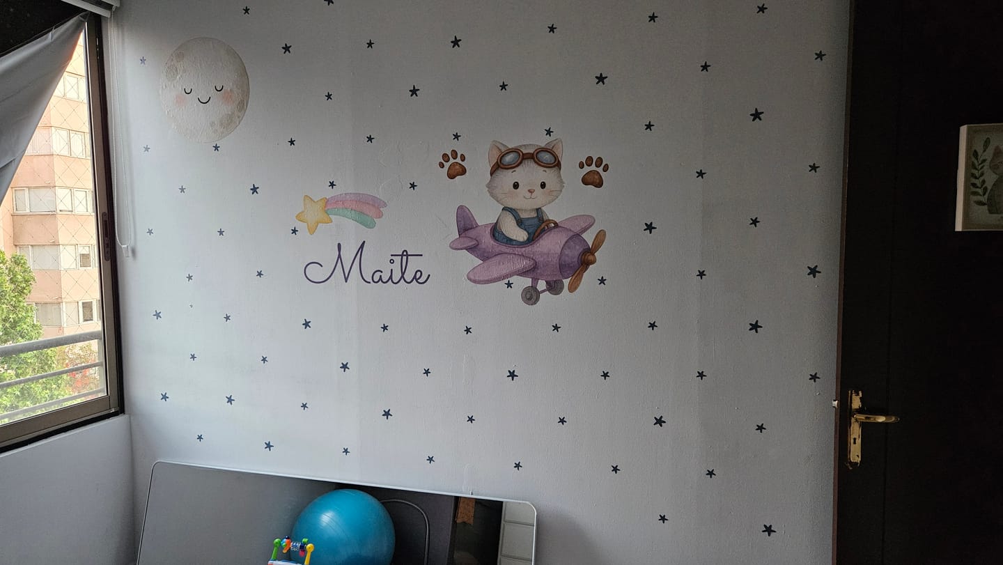 Customer photo review of Gatito gris aviador