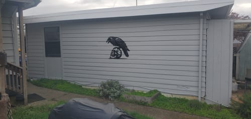 Customer photo review of Skull and Crow Metal Sign