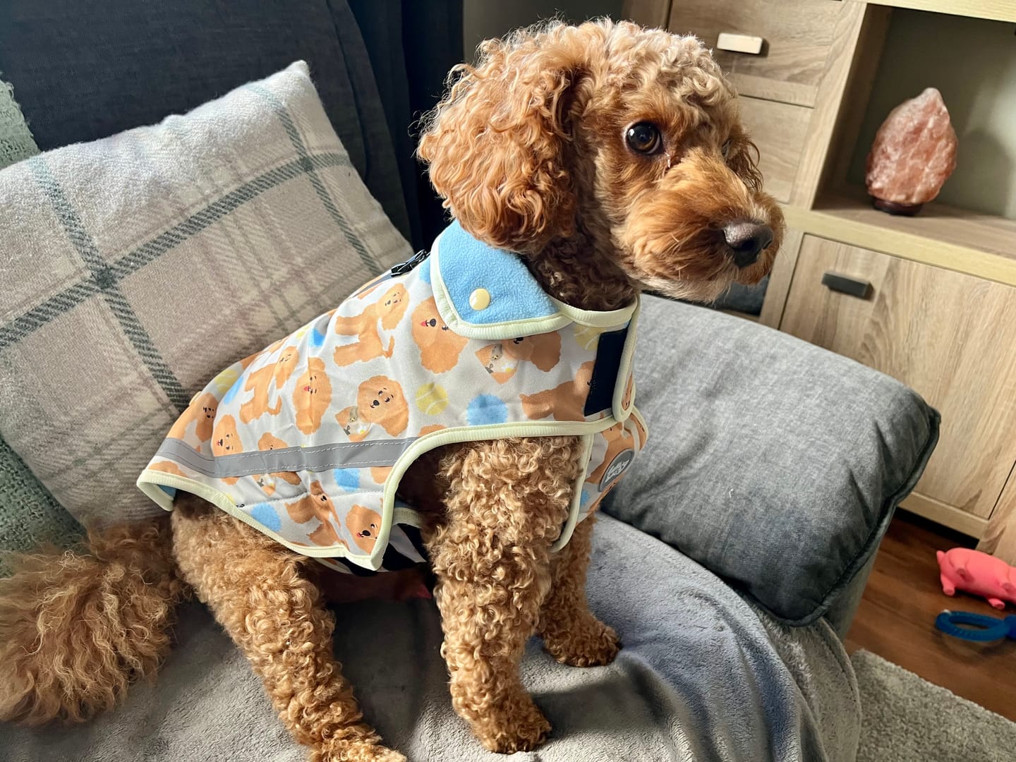 Customer photo review of Rain Jacket - Curly Club