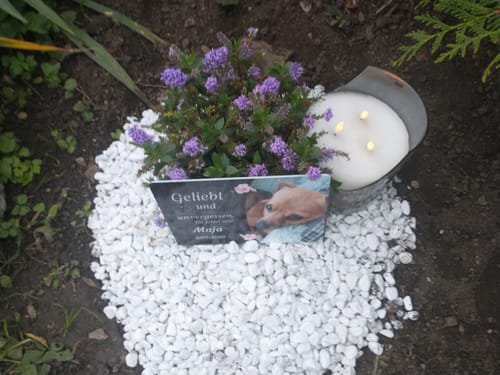 Customer photo review of Hunde Gedenktafel mit Foto & Spruch (UV- & Wetterfest)