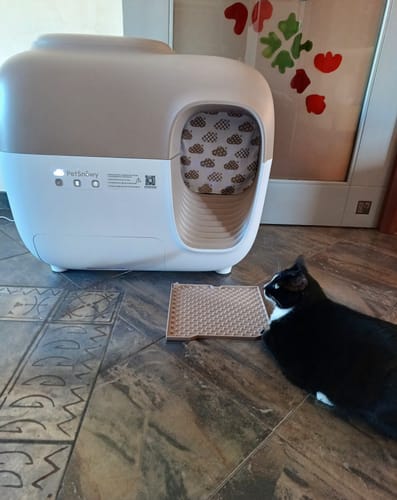 Customer photo review of Self-Cleaning Litter Box