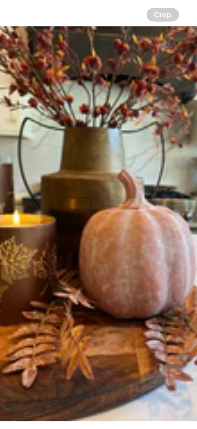 Customer photo review of Terracotta Whitewashed Pumpkin