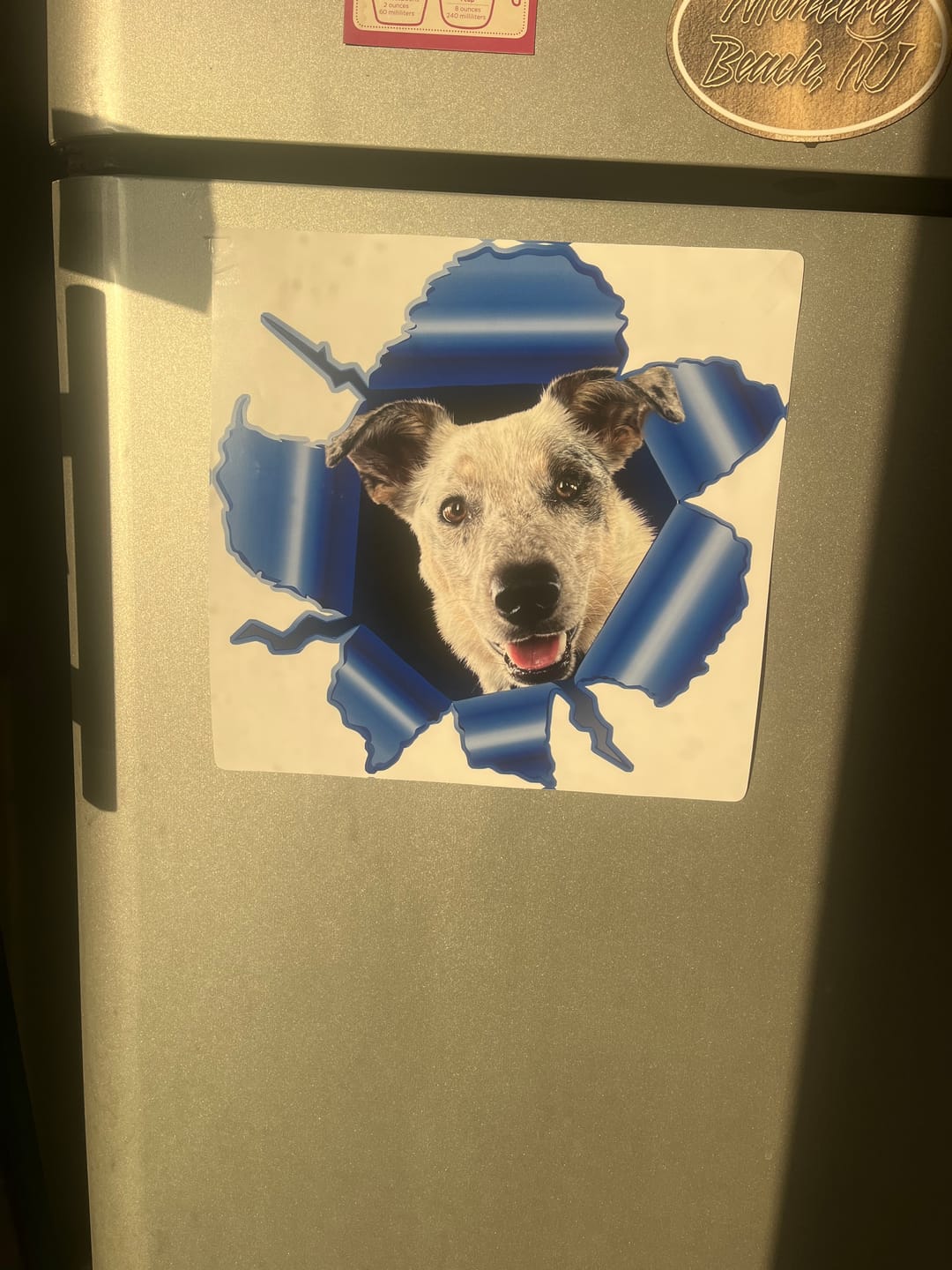 Customer photo review of Peeking photo – Personalized Car Sticker