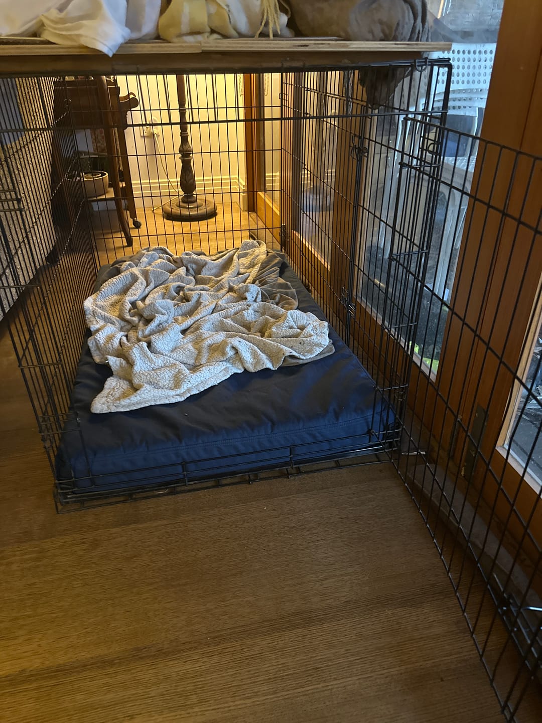 Customer photo review of Kangaroo Dog Crate Mat