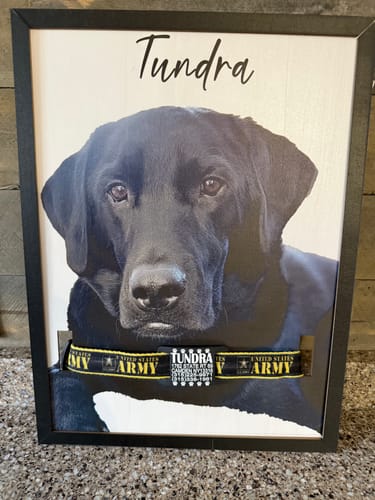 Customer photo review of Custom Pet Memorial Portraits - A Timeless Companion