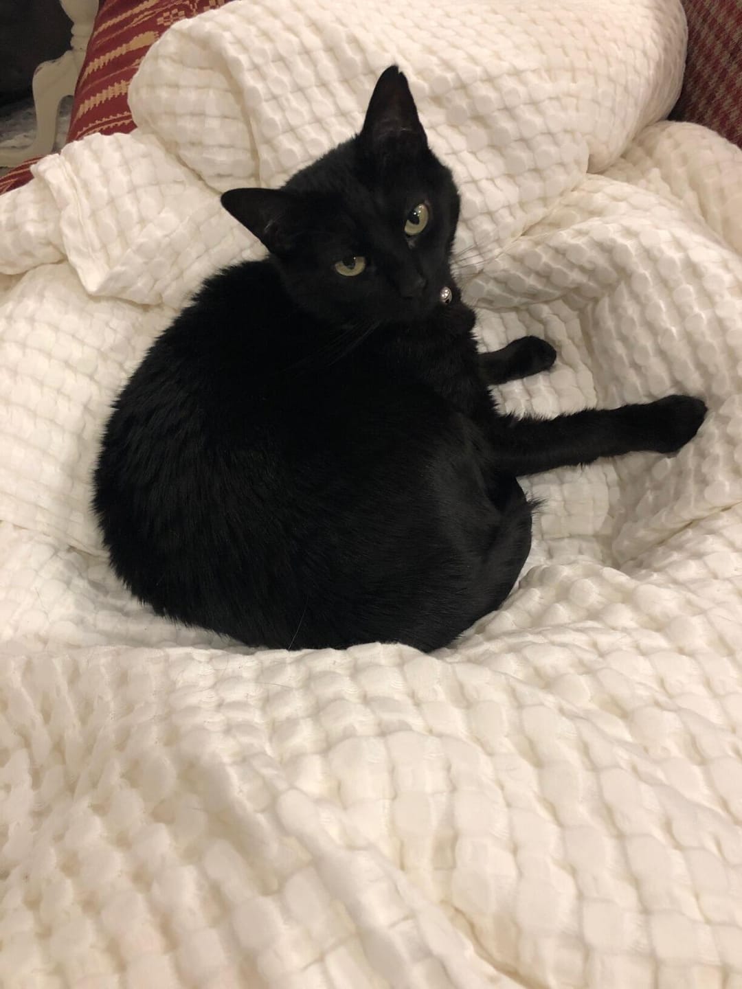Customer photo review of Breeze Waffle Blanket