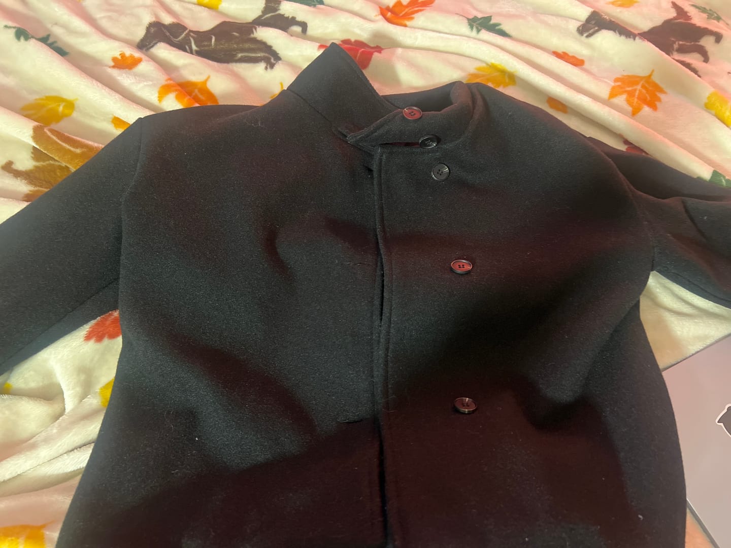 Customer photo review of Rosalia Elegant Jacket with Stand Collar