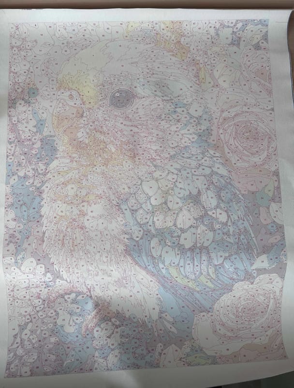 Customer photo review of A Colorful Parrot