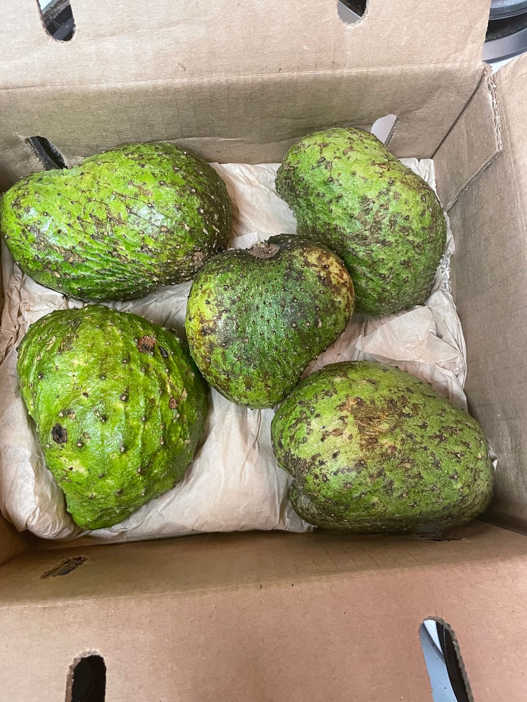 Customer photo review of Premium Soursop (Guanabana)