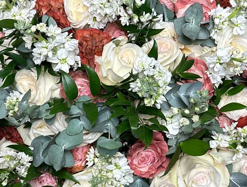 Customer photo review of Fall Mix Roses