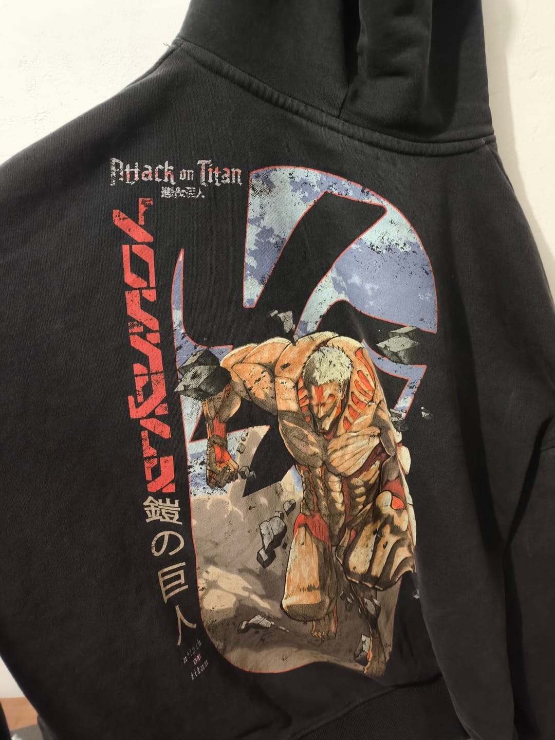 Customer photo review of 5129 - AOT©  x YLA Pullover Hoodies