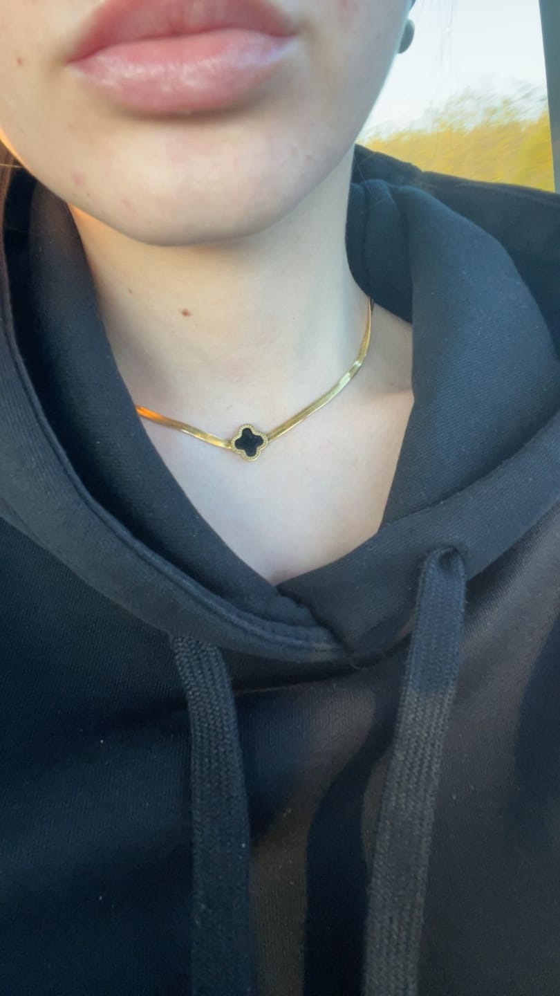 Customer photo review of Lantisor Royal Clover - Negru