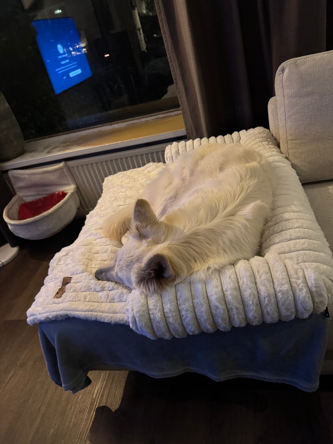 Customer photo review of Pet Perfect Luxe Hondendeken Bank - Bankbeschermer - Wasbaar