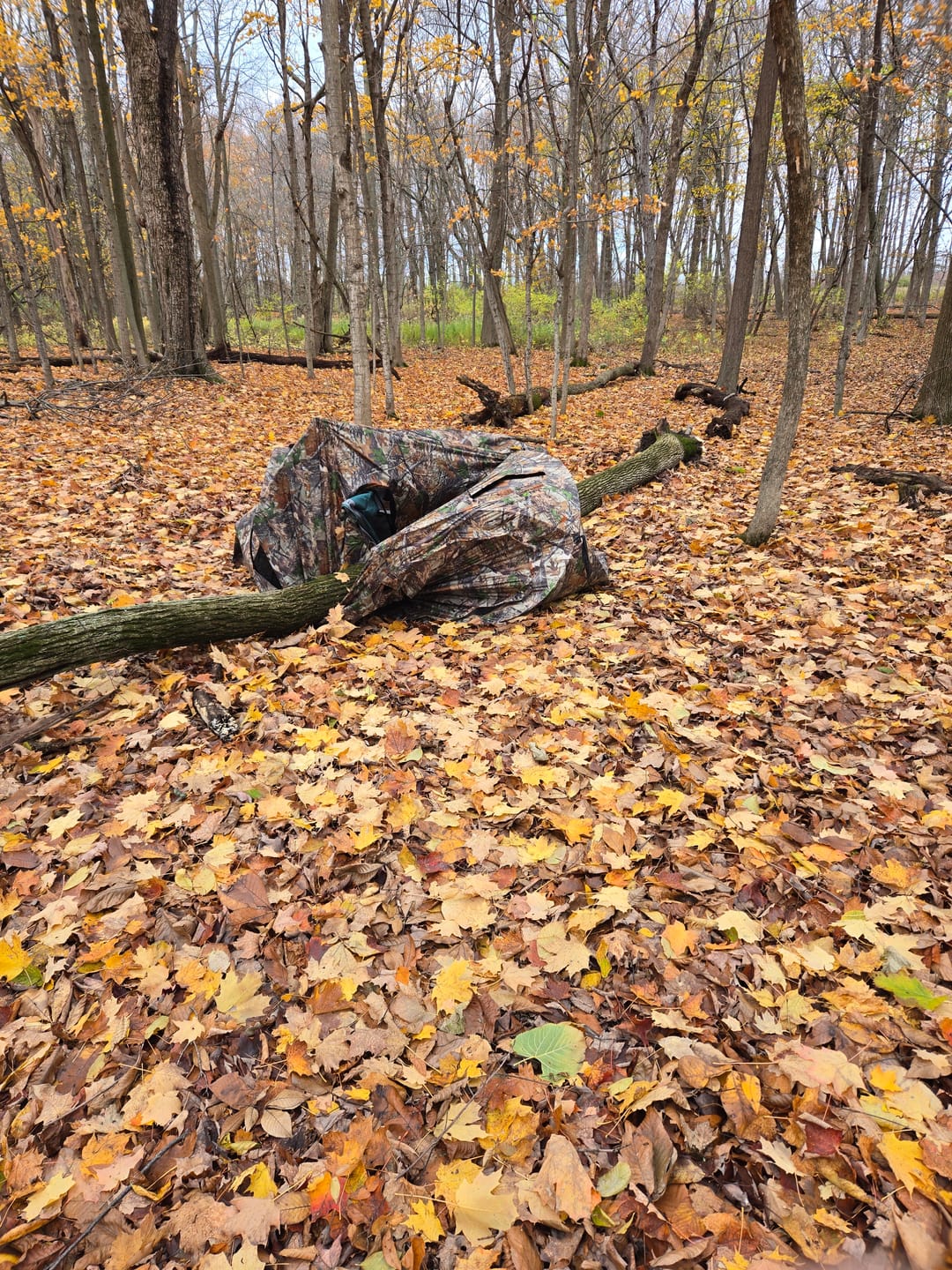 Customer photo review of Vis Series See Through Hunting Blind, Pop Up Ground Deer Blind