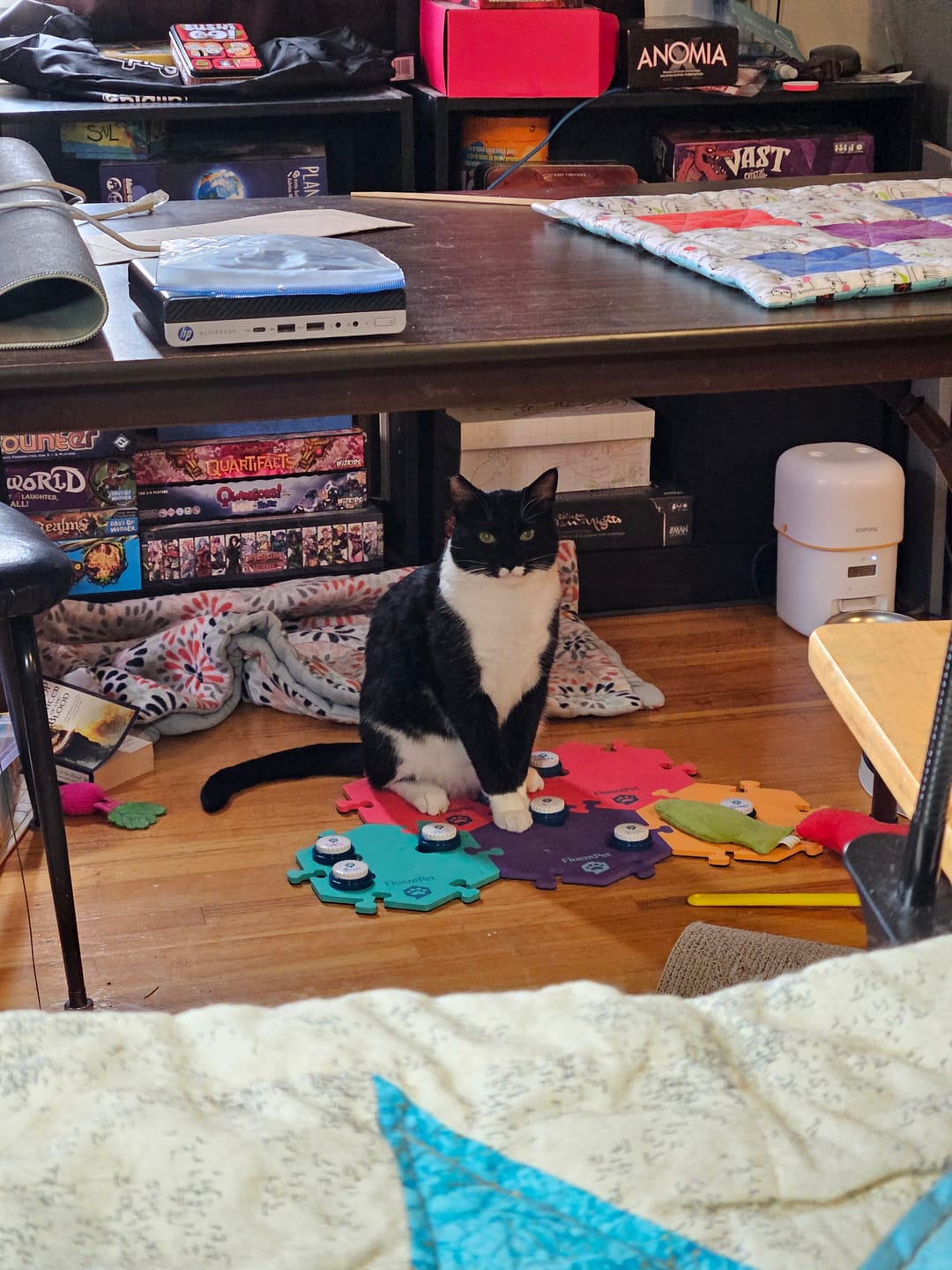 Customer photo review of Get Started Kit Fire