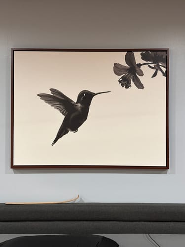 Customer photo review of Hummingbird Motion Canvas Art