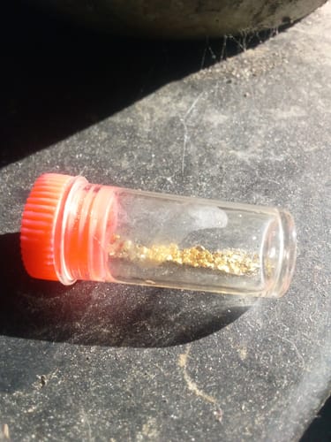 Customer photo review of Nugget Reserve 'MUSEUM SPECIMEN CHASE' - Gold Panning Paydirt Concentrate