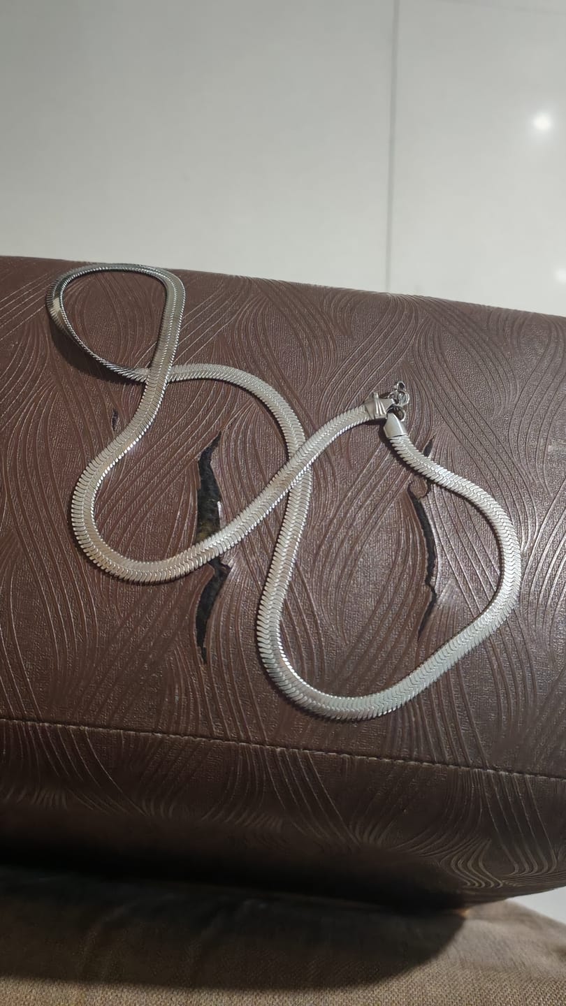 Customer photo review of Snake Chain | Rhodium Plated | 6 MM