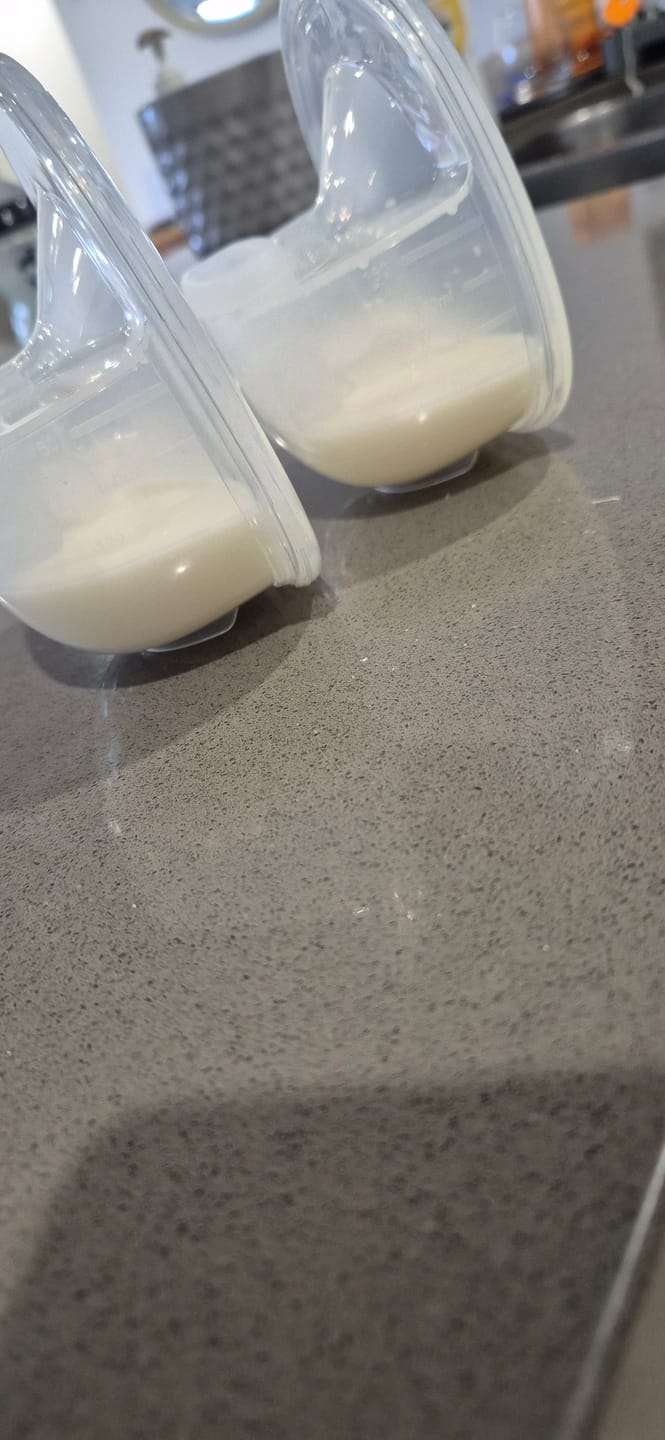 Customer photo review of Electronic Wearable Breast Pump