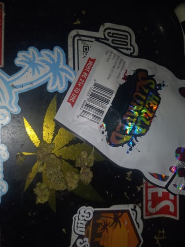 Customer photo review of Indoor Smalls