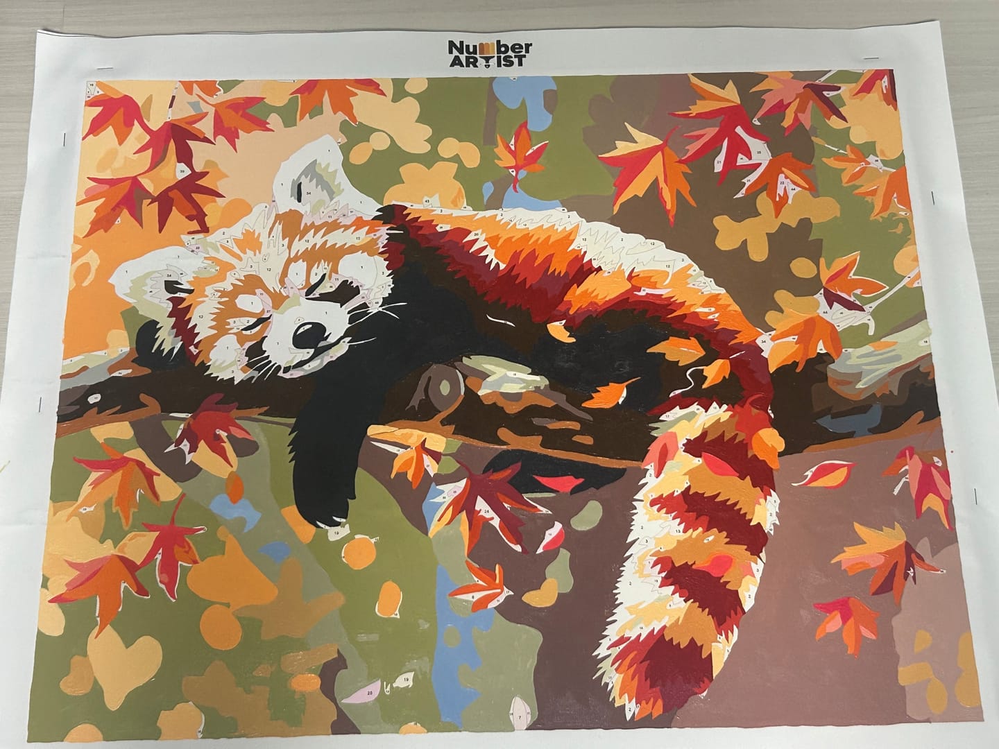 Customer photo review of Relaxed Red Panda