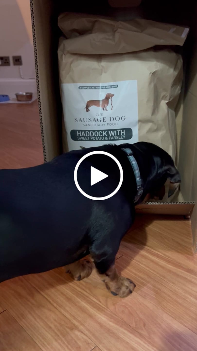 Customer video review of Grain-Free Haddock with Sweet Potato & Parsley