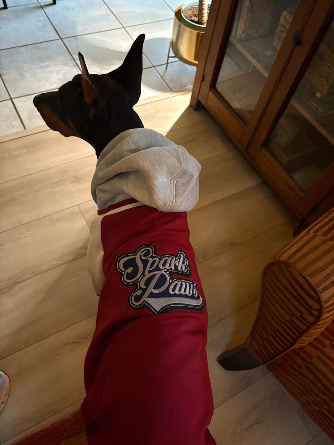 Customer photo review of Anxiety Calming Dog Earmuff Protector - Red