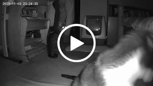 Customer video review of Akıllı Kamera İç Mekan