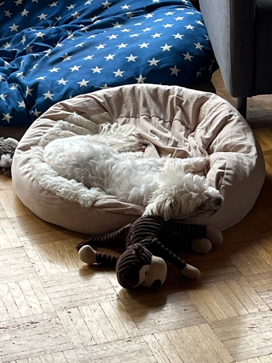 Customer photo review of Emmalove - Kuschelhöhle für Hunde