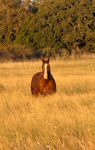 Customer photo review of Osteo-MAX » up to 29% Off