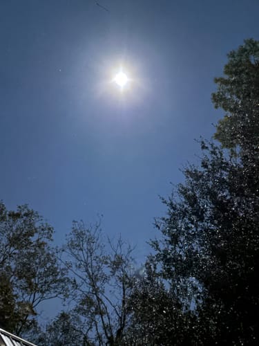 Floyd B. review of Tropical Fruit Nicotine Pouches image 1 out of 5