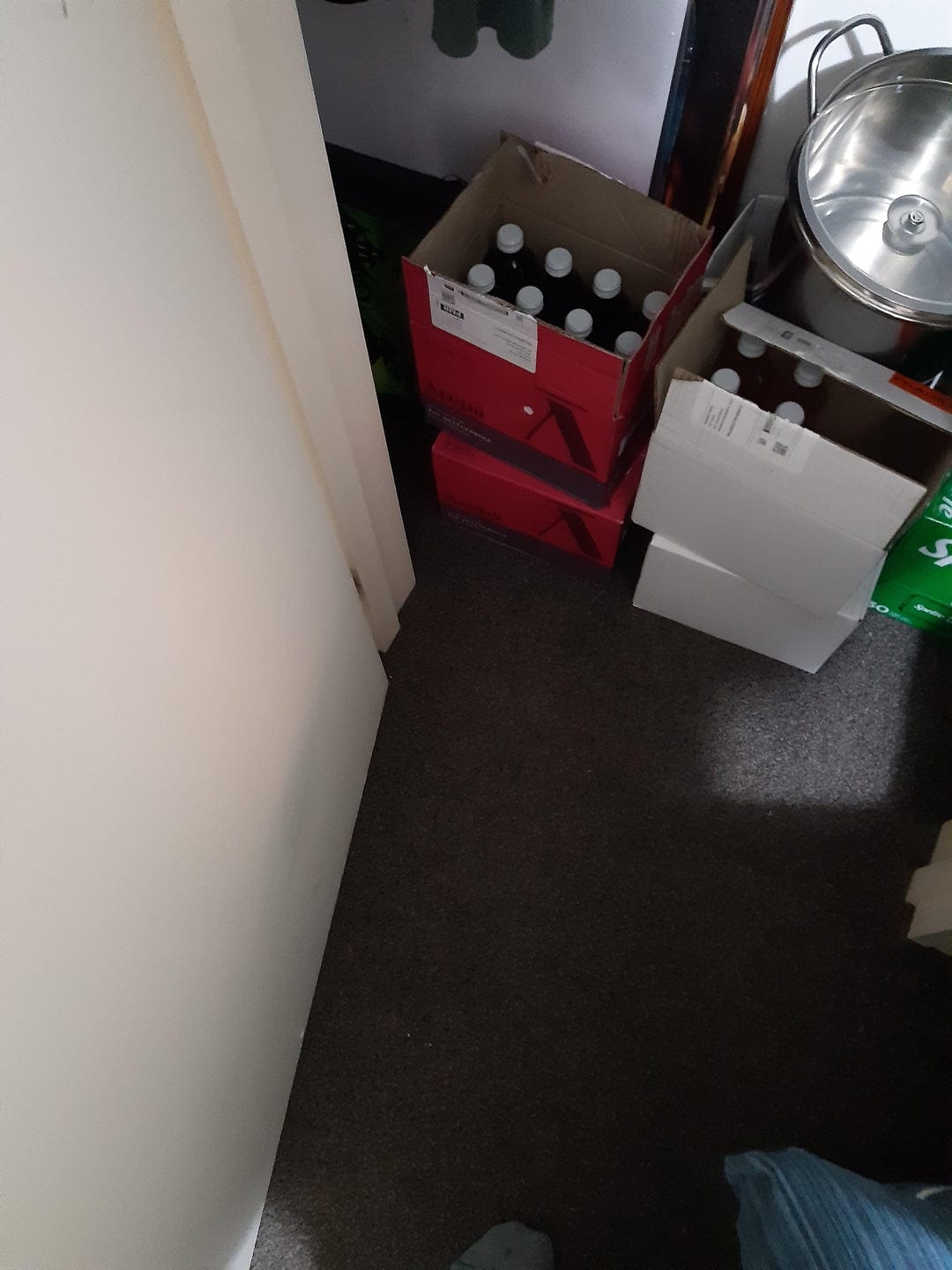 Customer photo review of The Brain Drink for Performance (300ml)⁺