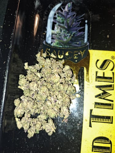 Customer photo review of Gold Spectrum THCA Flower (Connoisseur) - Scented Marker